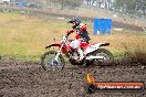 Champions Ride Days MotoX Broadford 24 11 2013 - 6CR_2983