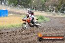 Champions Ride Days MotoX Broadford 24 11 2013 - 6CR_2994