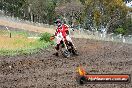 Champions Ride Days MotoX Broadford 24 11 2013 - 6CR_3002