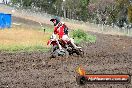 Champions Ride Days MotoX Broadford 24 11 2013 - 6CR_3003