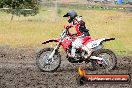 Champions Ride Days MotoX Broadford 24 11 2013 - 6CR_3007