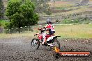 Champions Ride Days MotoX Broadford 24 11 2013 - 6CR_3010