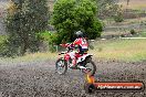 Champions Ride Days MotoX Broadford 24 11 2013 - 6CR_3011