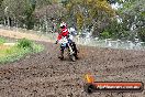 Champions Ride Days MotoX Broadford 24 11 2013 - 6CR_3012