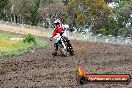 Champions Ride Days MotoX Broadford 24 11 2013 - 6CR_3013