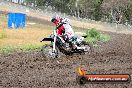 Champions Ride Days MotoX Broadford 24 11 2013 - 6CR_3014