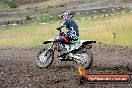 Champions Ride Days MotoX Broadford 24 11 2013 - 6CR_3030