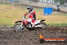 Champions Ride Days MotoX Broadford 24 11 2013 - 6CR_3034