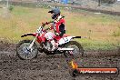 Champions Ride Days MotoX Broadford 24 11 2013 - 6CR_3035