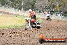 Champions Ride Days MotoX Broadford 24 11 2013 - 6CR_3065