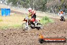 Champions Ride Days MotoX Broadford 24 11 2013 - 6CR_3066