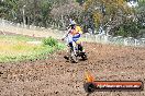 Champions Ride Days MotoX Broadford 24 11 2013 - 6CR_3069