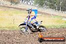 Champions Ride Days MotoX Broadford 24 11 2013 - 6CR_3071