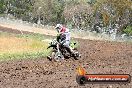 Champions Ride Days MotoX Broadford 24 11 2013 - 6CR_3074