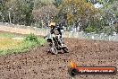 Champions Ride Days MotoX Broadford 24 11 2013 - 6CR_3081