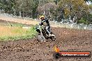 Champions Ride Days MotoX Broadford 24 11 2013 - 6CR_3082