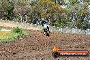 Champions Ride Days MotoX Broadford 24 11 2013 - 6CR_3100