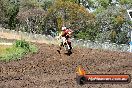 Champions Ride Days MotoX Broadford 24 11 2013 - 6CR_3111