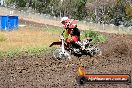 Champions Ride Days MotoX Broadford 24 11 2013 - 6CR_3115