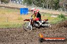 Champions Ride Days MotoX Broadford 24 11 2013 - 6CR_3116