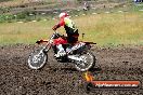Champions Ride Days MotoX Broadford 24 11 2013 - 6CR_3120