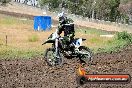 Champions Ride Days MotoX Broadford 24 11 2013 - 6CR_3126