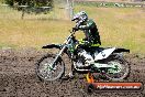 Champions Ride Days MotoX Broadford 24 11 2013 - 6CR_3129