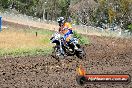 Champions Ride Days MotoX Broadford 24 11 2013 - 6CR_3132