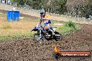 Champions Ride Days MotoX Broadford 24 11 2013 - 6CR_3133
