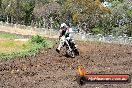 Champions Ride Days MotoX Broadford 24 11 2013 - 6CR_3139