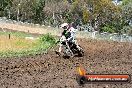 Champions Ride Days MotoX Broadford 24 11 2013 - 6CR_3140