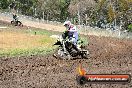 Champions Ride Days MotoX Broadford 24 11 2013 - 6CR_3141