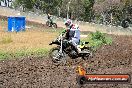 Champions Ride Days MotoX Broadford 24 11 2013 - 6CR_3142