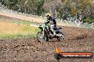 Champions Ride Days MotoX Broadford 24 11 2013 - 6CR_3149