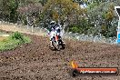 Champions Ride Days MotoX Broadford 24 11 2013 - 6CR_3157