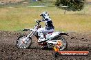 Champions Ride Days MotoX Broadford 24 11 2013 - 6CR_3164