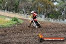 Champions Ride Days MotoX Broadford 24 11 2013 - 6CR_3169