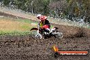 Champions Ride Days MotoX Broadford 24 11 2013 - 6CR_3171