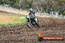 Champions Ride Days MotoX Broadford 24 11 2013 - 6CR_3181