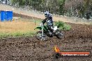 Champions Ride Days MotoX Broadford 24 11 2013 - 6CR_3182