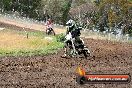 Champions Ride Days MotoX Broadford 24 11 2013 - 6CR_3190