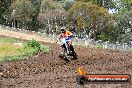 Champions Ride Days MotoX Broadford 24 11 2013 - 6CR_3196