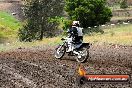 Champions Ride Days MotoX Broadford 24 11 2013 - 6CR_3215
