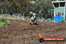 Champions Ride Days MotoX Broadford 24 11 2013 - 6CR_3217