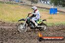 Champions Ride Days MotoX Broadford 24 11 2013 - 6CR_3223