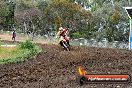 Champions Ride Days MotoX Broadford 24 11 2013 - 6CR_3227