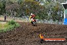 Champions Ride Days MotoX Broadford 24 11 2013 - 6CR_3228