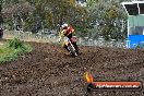 Champions Ride Days MotoX Broadford 24 11 2013 - 6CR_3229