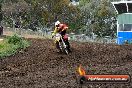 Champions Ride Days MotoX Broadford 24 11 2013 - 6CR_3230