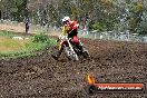 Champions Ride Days MotoX Broadford 24 11 2013 - 6CR_3231